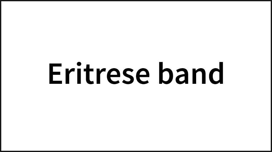 27_NL-CI-Eritrean-band_DUTCH-copy